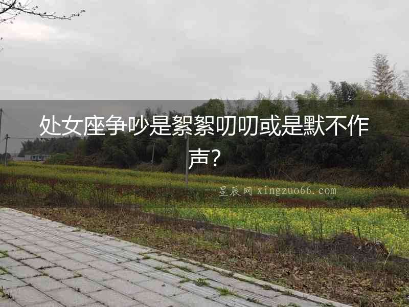 處女座爭吵是絮絮叨叨或是默不作聲？