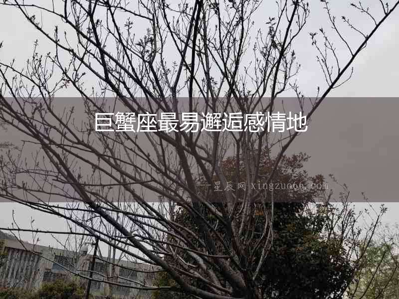 巨蟹座最易邂逅感情地