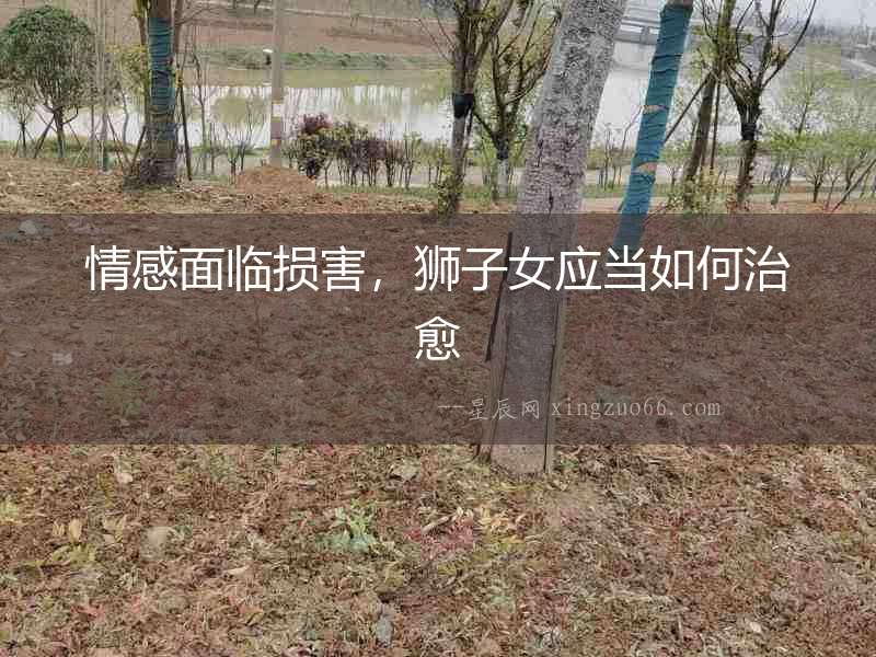 情感面臨損害，獅子女應當如何治愈