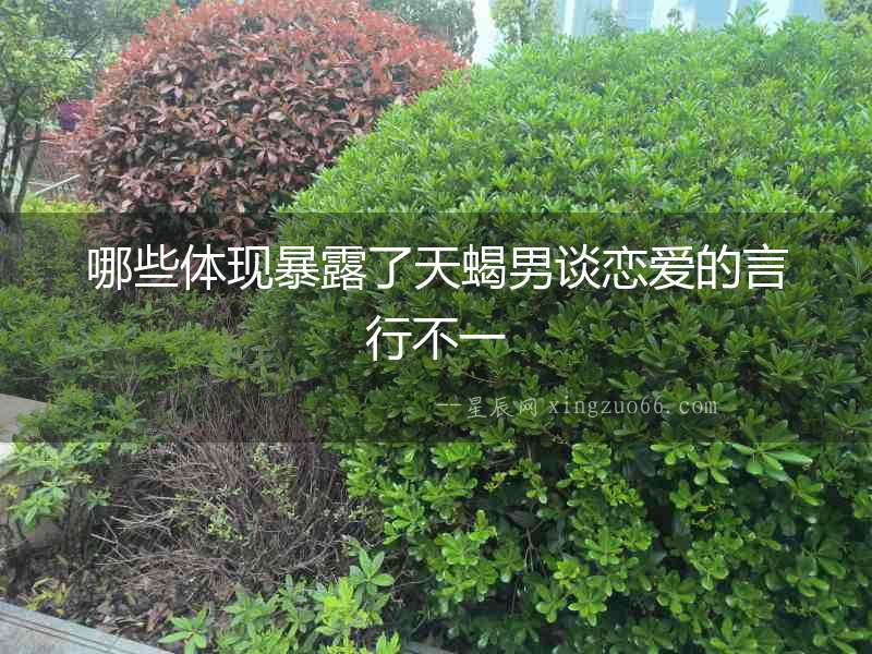 哪些體現(xiàn)暴露了天蝎男談戀愛的言行不一