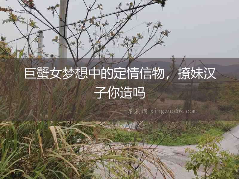 巨蟹女夢(mèng)想中的定情信物，撩妹漢子你造嗎