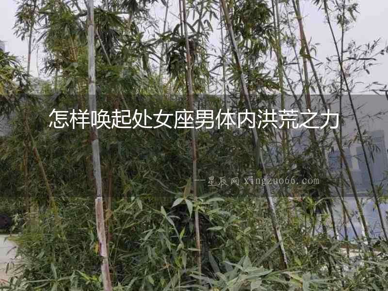 怎樣喚起處女座男體內洪荒之力