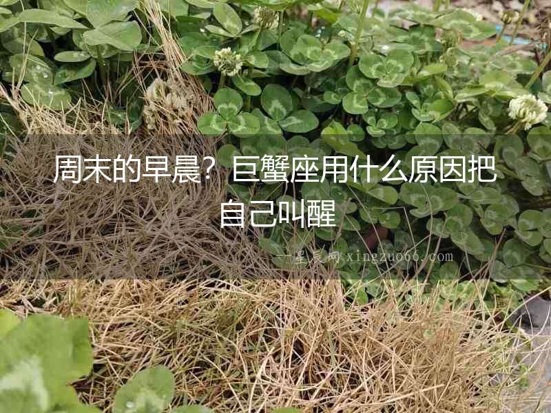 周末的早晨？巨蟹座用什么原因把自己叫醒