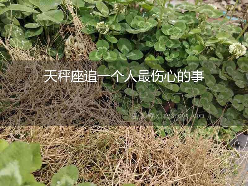 天秤座追一個人最傷心的事