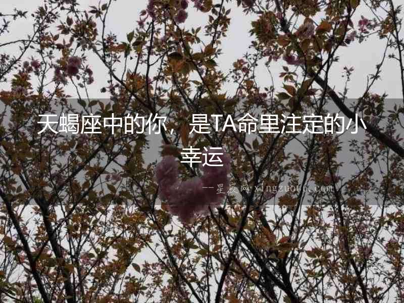 天蝎座中的你，是TA命里注定的小幸運