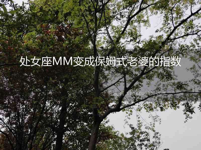 處女座MM變成保姆式老婆的指數