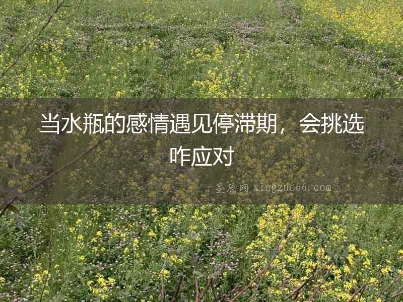 當水瓶的感情遇見停滯期，會挑選咋應對