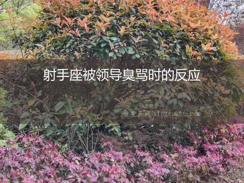 射手座被領(lǐng)導(dǎo)臭罵時的反應(yīng)