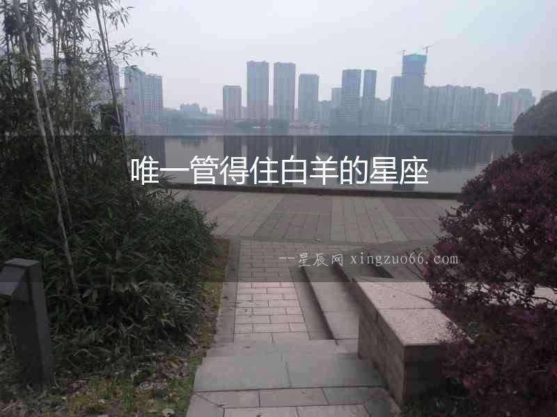唯一管得住白羊的星座