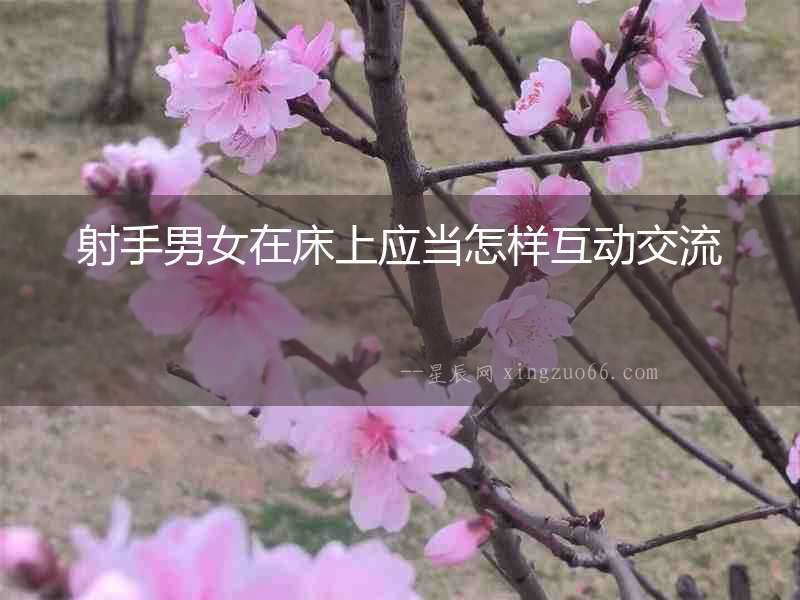 射手男女在床上應當怎樣互動交流