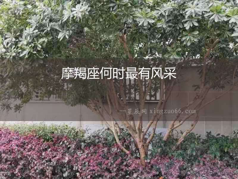 摩羯座何時最有風采