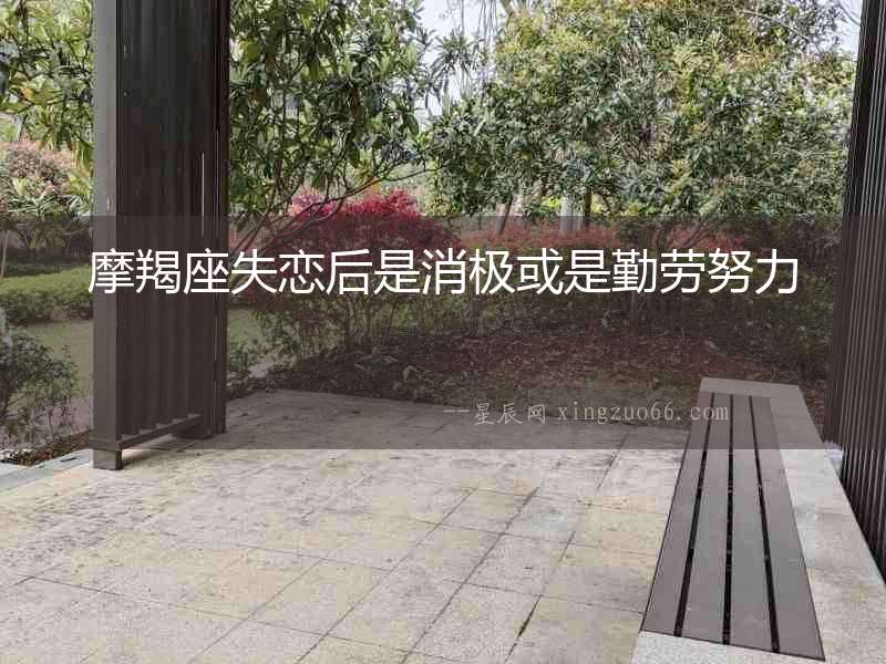 摩羯座失戀后是消極或是勤勞努力