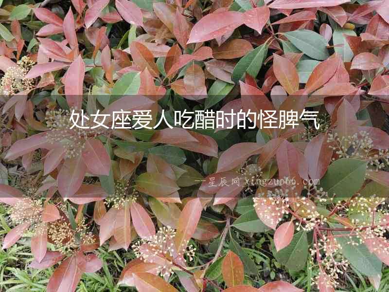 處女座愛人吃醋時(shí)的怪脾氣