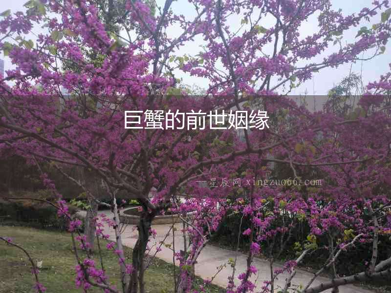 巨蟹的前世姻緣