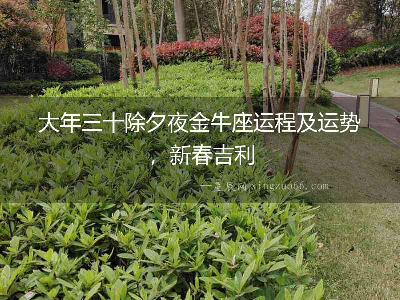 大年三十除夕夜金牛座運程及運勢，新春吉利