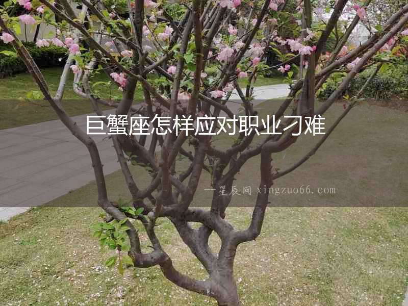 巨蟹座怎樣應對職業刁難