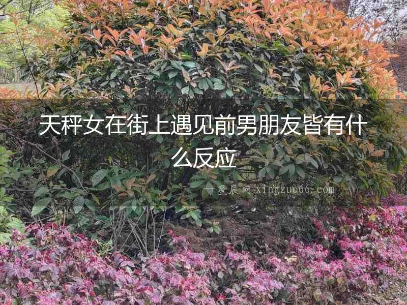 天秤女在街上遇見前男朋友皆有什么反應