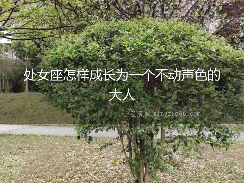 處女座怎樣成長(zhǎng)為一個(gè)不動(dòng)聲色的大人
