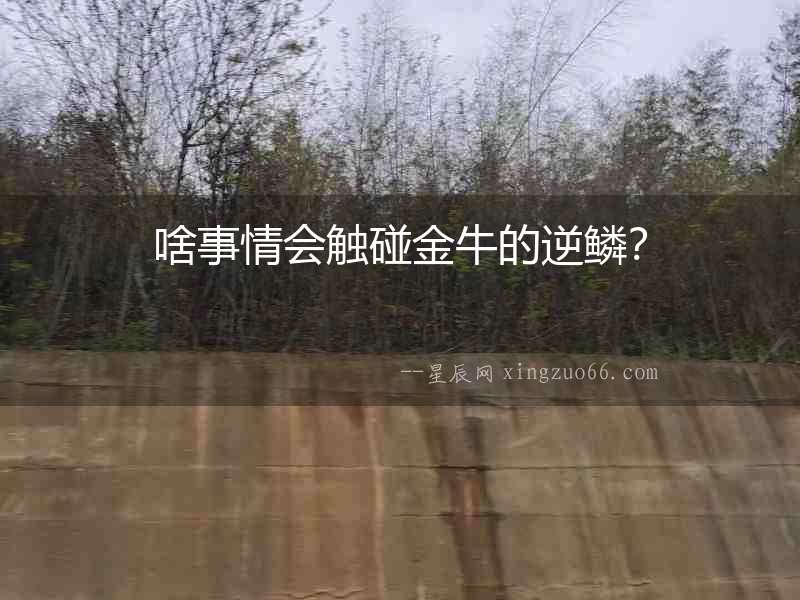 啥事情會觸碰金牛的逆鱗？
