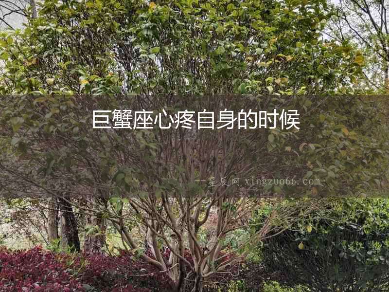 巨蟹座心疼自身的時候