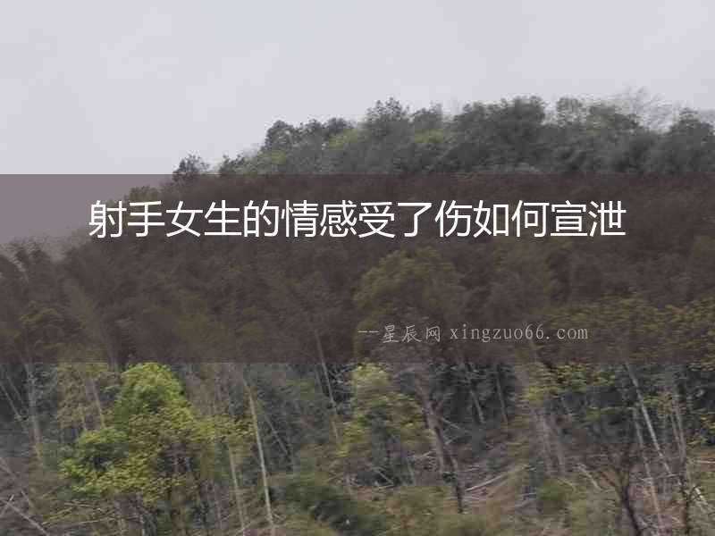 射手女生的情感受了傷如何宣泄