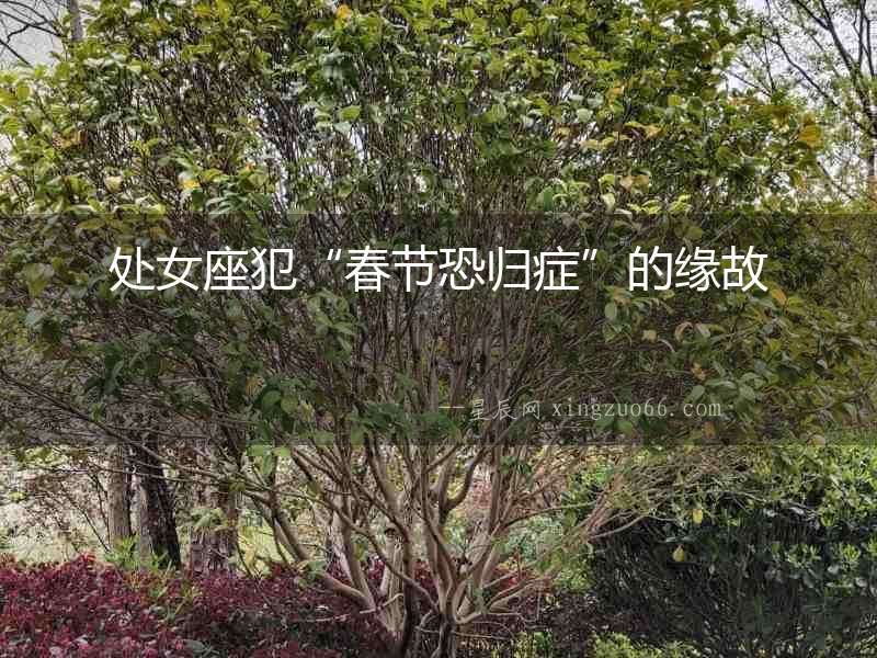 處女座犯“春節(jié)恐歸癥”的緣故