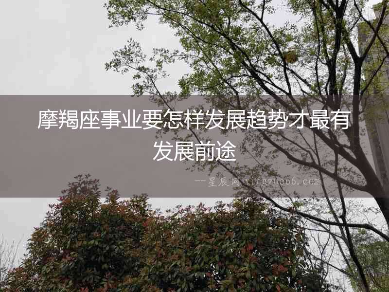 摩羯座事業(yè)要怎樣發(fā)展趨勢(shì)才最有發(fā)展前途