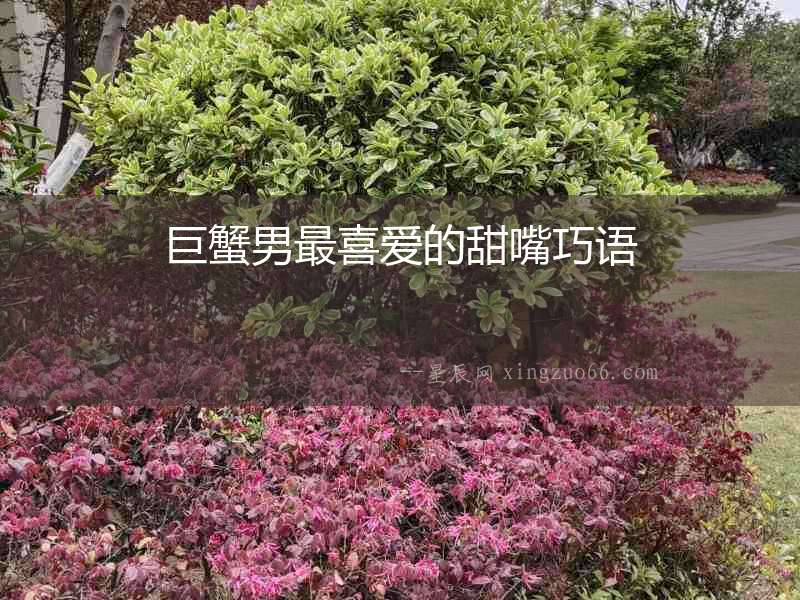 巨蟹男最喜愛的甜嘴巧語