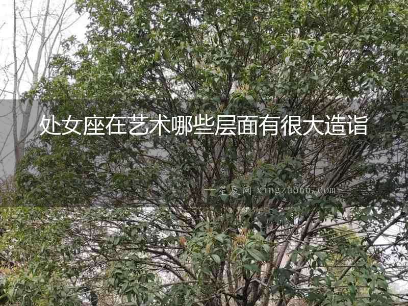 處女座在藝術哪些層面有很大造詣