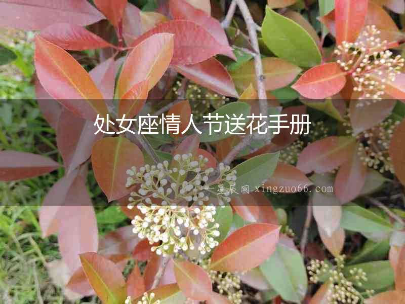 處女座情人節(jié)送花手冊(cè)