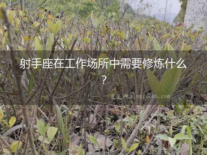 射手座在工作場所中需要修煉什么？