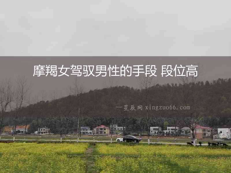摩羯女駕馭男性的手段 段位高