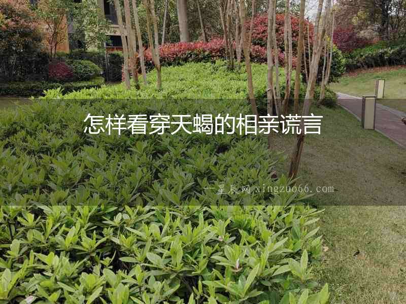 怎樣看穿天蝎的相親謊言