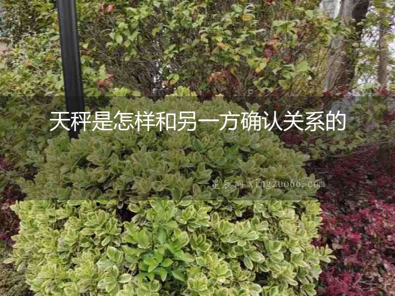 天秤是怎樣和另一方確認(rèn)關(guān)系的