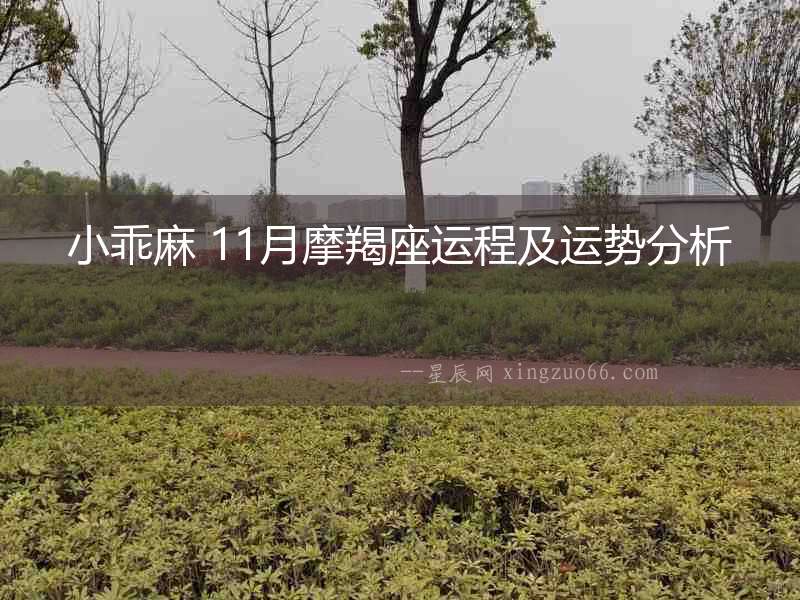 小乖麻 11月摩羯座運(yùn)程及運(yùn)勢(shì)分析