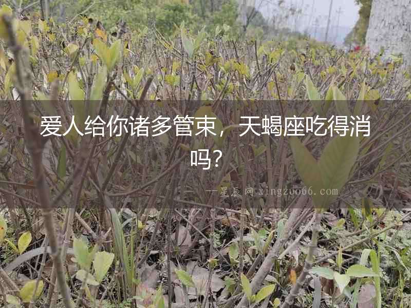 愛人給你諸多管束，天蝎座吃得消嗎？