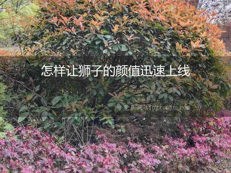 怎樣讓獅子的顏值迅速上線