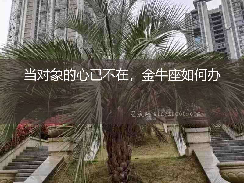 當對象的心已不在，金牛座如何辦