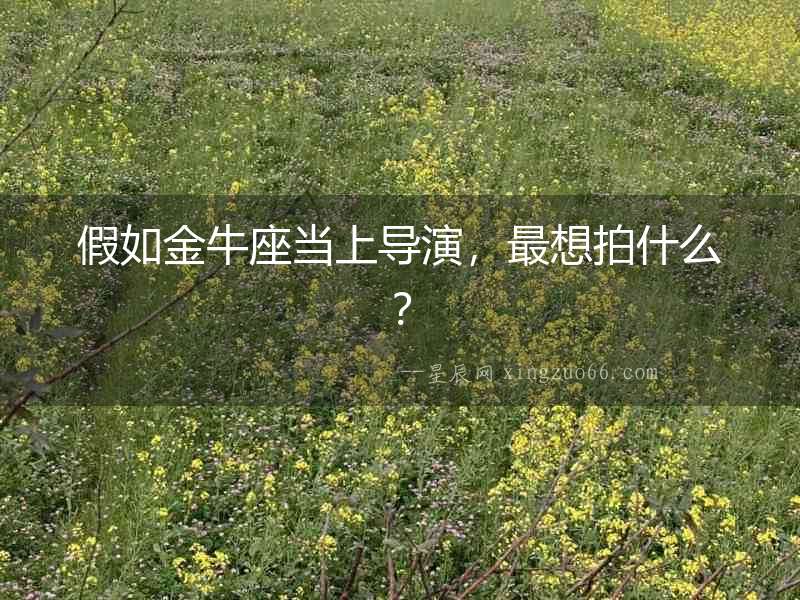 假如金牛座當上導演，最想拍什么？