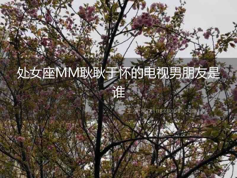處女座MM耿耿于懷的電視男朋友是誰(shuí)