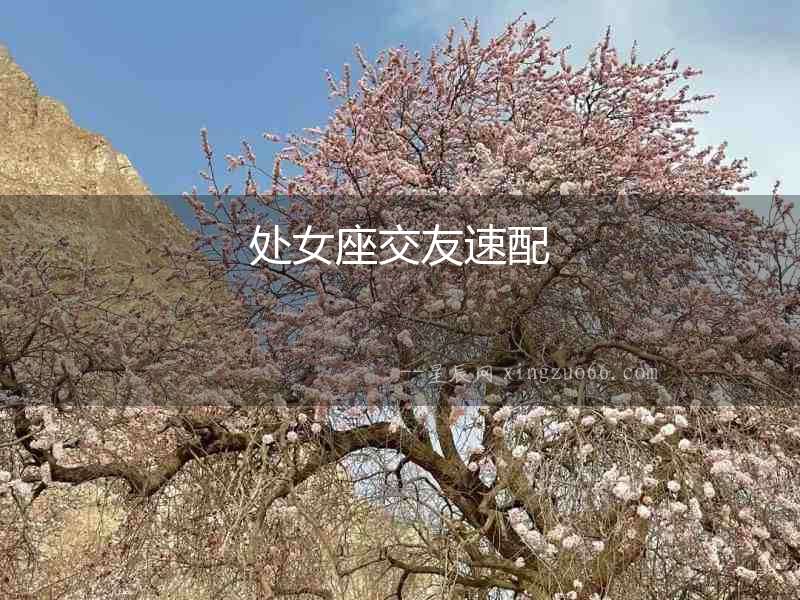 處女座交友速配