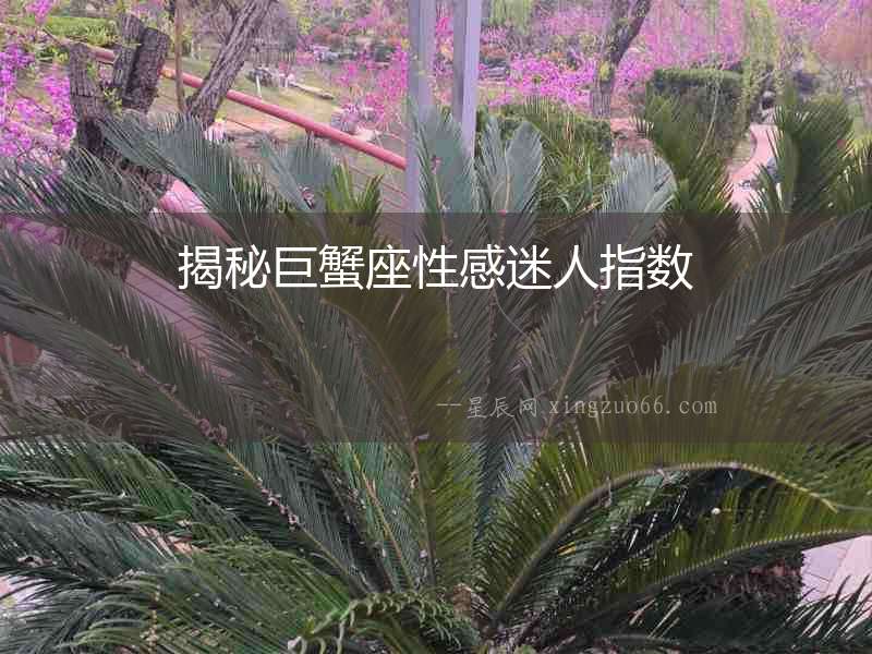 揭秘巨蟹座性感迷人指數