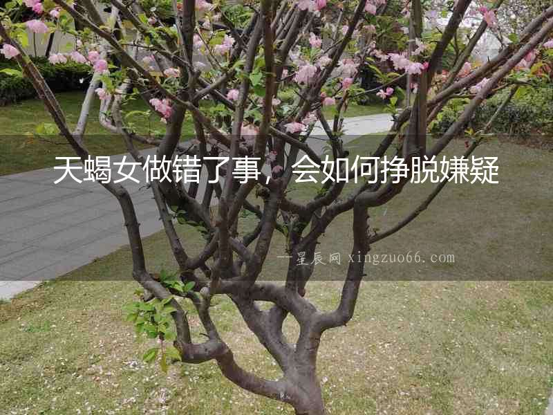 天蝎女做錯(cuò)了事，會(huì)如何掙脫嫌疑