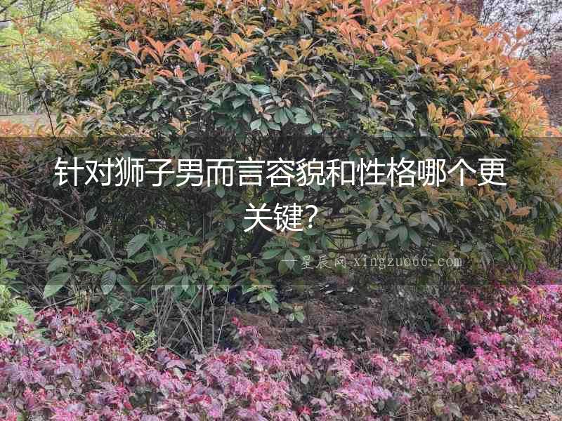 針對獅子男而言容貌和性格哪個更關(guān)鍵？