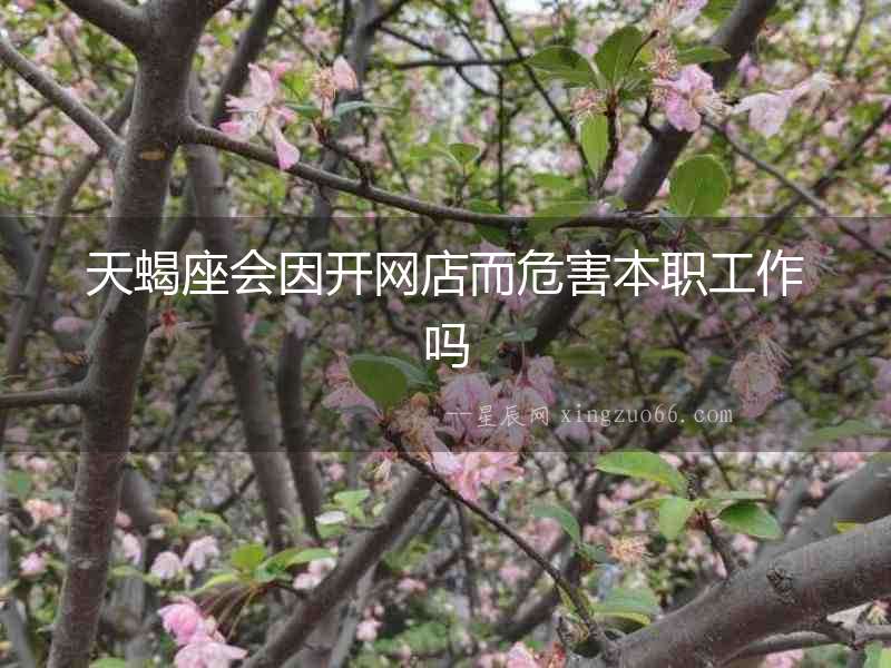 天蝎座會因開網(wǎng)店而危害本職工作嗎