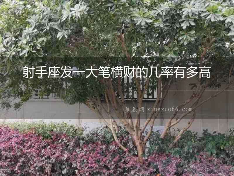 射手座發一大筆橫財的幾率有多高