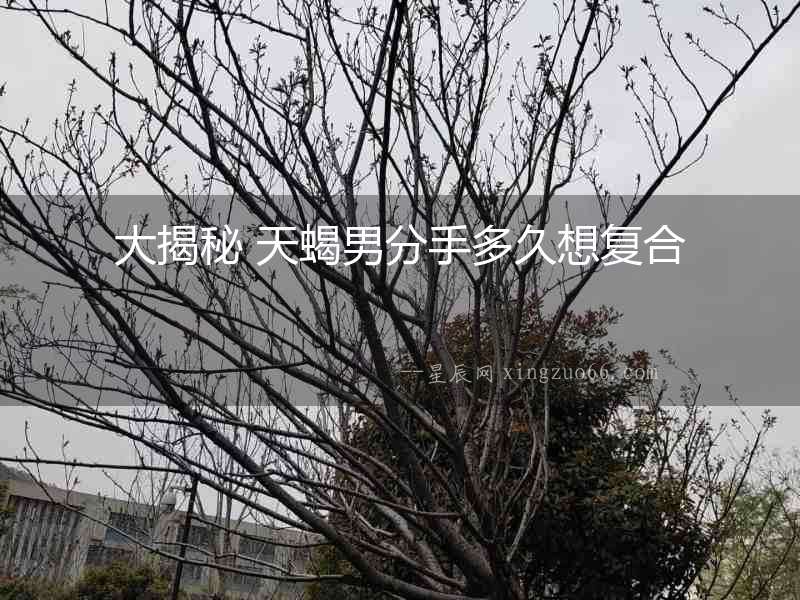 大揭秘 天蝎男分手多久想復合