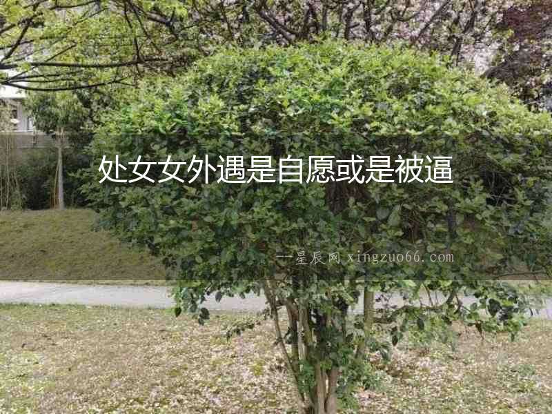處女女外遇是自愿或是被逼