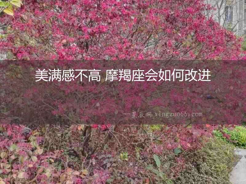 美滿感不高 摩羯座會如何改進