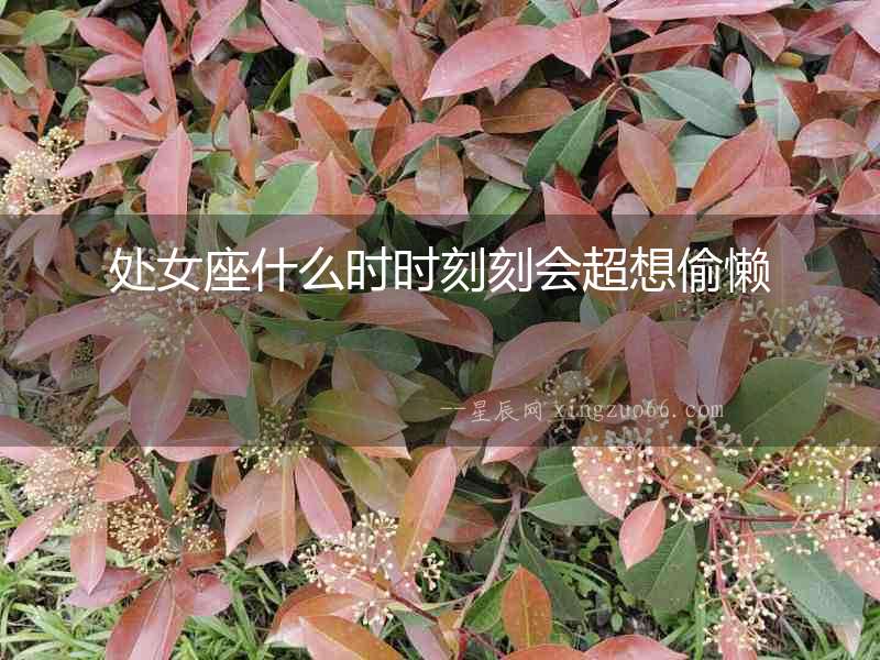 處女座什么時時刻刻會超想偷懶